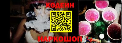 гашик Кингисепп
