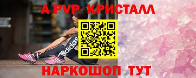 СК Кимры