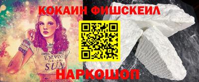 гашик Кингисепп