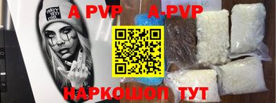 гашик Кингисепп