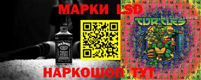 СК Кимры