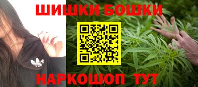 гашик Кингисепп