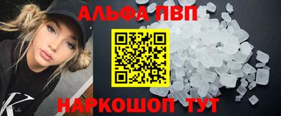 гашик Кингисепп