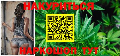 гашик Кингисепп