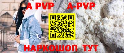 гашик Кингисепп