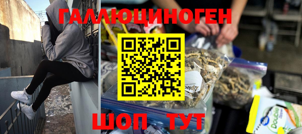Еманжелинск  купить   Вход с VPN  Галлюциногенные грибы Psilocybe 